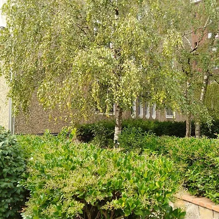 Apartment Kibilu - Via Borsa